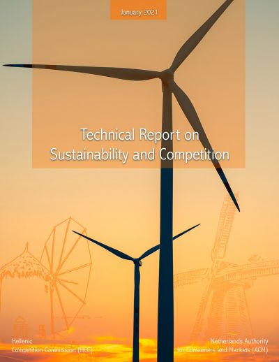 Technical Report on Sustainability and Competition